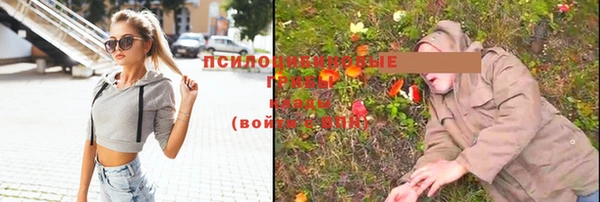экстази Алексин
