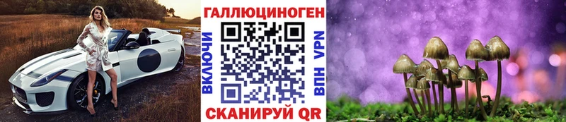 Псилоцибиновые грибы прущие грибы  blacksprut сайт  Елабуга 