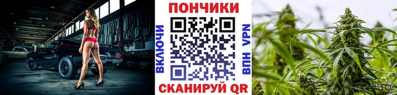 дарк нет формула Елабуга Бошки марихуана OG Kush